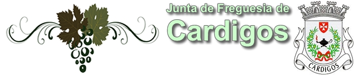 Tempo de vindima
