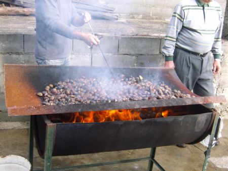 magusto no carrascal 2010