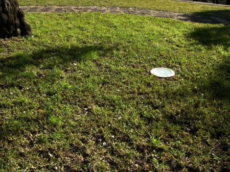 Nova relva e ilumina��o conferiram nova vida ao espa�o de lazer